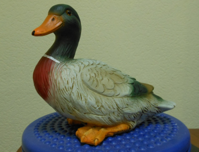5_duck.png