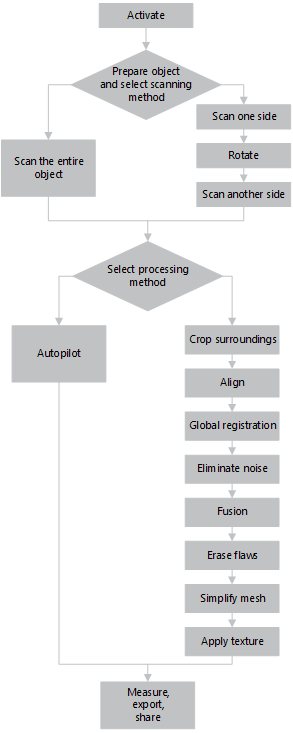 Scanning and processing steps